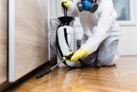 Pest Control Victoria Point