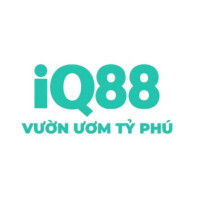 iq88city
