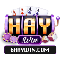 HAYWIN