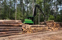 Professional Timber Management Services – Maximize Your Woodland Value