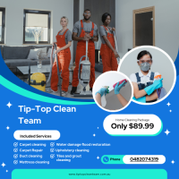 Carpet Cleaning Brunswick