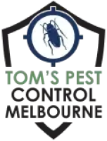 Termite Inspection Geelong | Tom's Pest Control Geelong