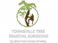 Townsville Tree Removal Surgeons