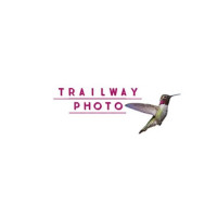 Beautiful Scenery and Ecological Photography - Trailway Photography