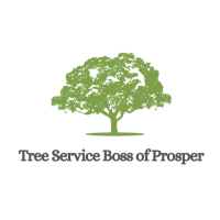 Tree Service Boss of Prosper