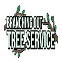 Tree Cutting & Trimming Ronkonkoma