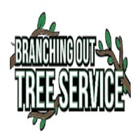 Tree Service & Removal Mineola