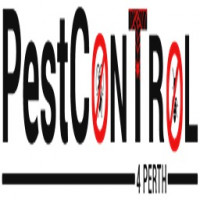Termite Treatment Perth