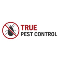 True Pest Control – Fast and Professional Pest Control Services
