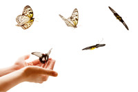 Tui Na Massage Therapy and Head Pain Clinic Toronto