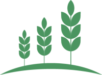 Prime Farm Land for Sale in Saskatchewan