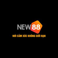 new88webcam