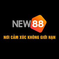 new88biz