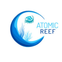 Aquarium Corals in Dubai
