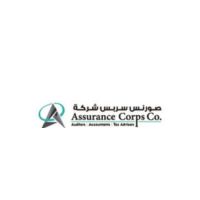 Assurance Corps Co. /Auditor/Accountants/Tax Consultant