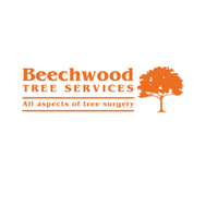 Beechwood Tree Services-Tree Surgeon Horsham