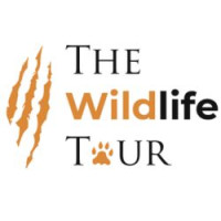 Wildlife Tour India -The Wildlife Tour