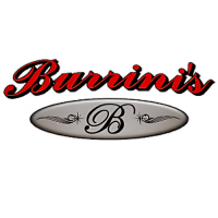 Burrini's and Sons Contracting LLC