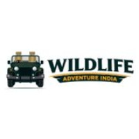Online Kanha Safari Booking Service – Kanha National Park