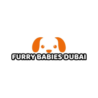 Pet Shop Furry Babies Dogs & Puppies For Sale In Dubai