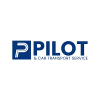 Pilot & Car Chauffeur Service Dubai