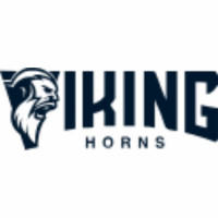 Viking Horns