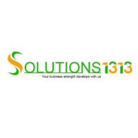 Solutions1313 – The Future of Digital Marketing & Branding