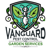 Vanguard Eco Solutions – Affordable Termite Pest Control Melbourne