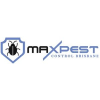 Flea Control Brisbane