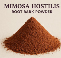 Mimosa Hostilis Inner Root Bark: A Natural Treasure of the Tropics