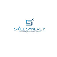 Skill Synergy Best Digital Marketing Services & PHP Training Centre In Lucknow