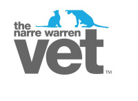 The Benefits of Puppy School: A Happy Start for You and Your Dog
