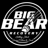 BIG BEAR RECOVERY