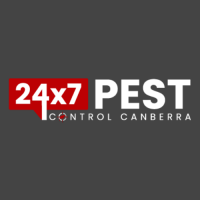 Termite Inspection Canberra