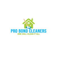 Professional Cleaning Services