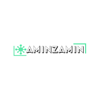AminZamin