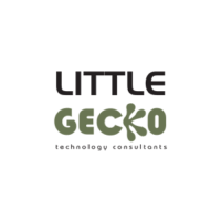 Little Gecko Technology