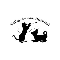 Valley Animal Hospital