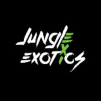 Luxury and Exotic Car Rentals