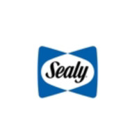 Sealy Rugs USA: The Best Place to Buy Luxury Rugs Online