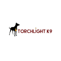 Personalized Dog Training in Tulsa for Lasting Obedience and Confidence