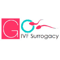 What is IVF?