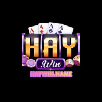 HAYWIN