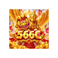 566c