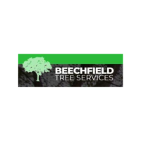 Beechfield Tree Services