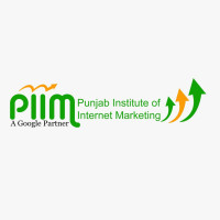 PIIM Website Designing Course in Patiala for IT Aspirants
