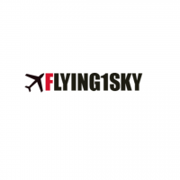 Flying1sky
