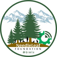 AI for Protecting Ecosystems & Student Security – Needleleaf Foundation