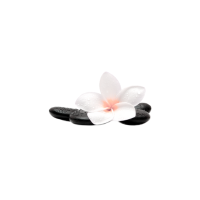 Home massage services in dubai