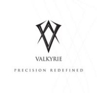 Business Strategies Dubai By Valkyrie DMCC
